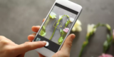 Top 10 Smartphones With the Best Cameras in 2024
